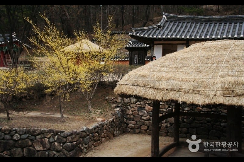 伝統文化コンテンツ博物館 (24/26)