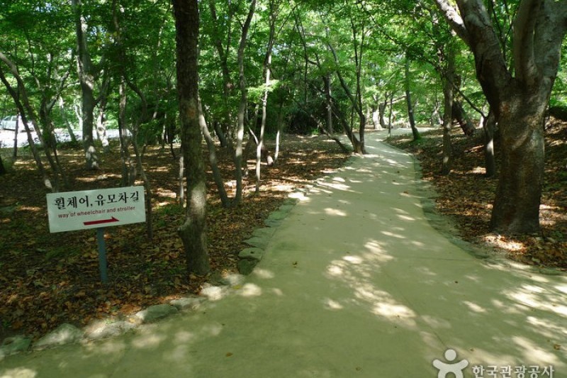 慶州 仏国寺[ユネスコ世界文化遺産] (3/41)