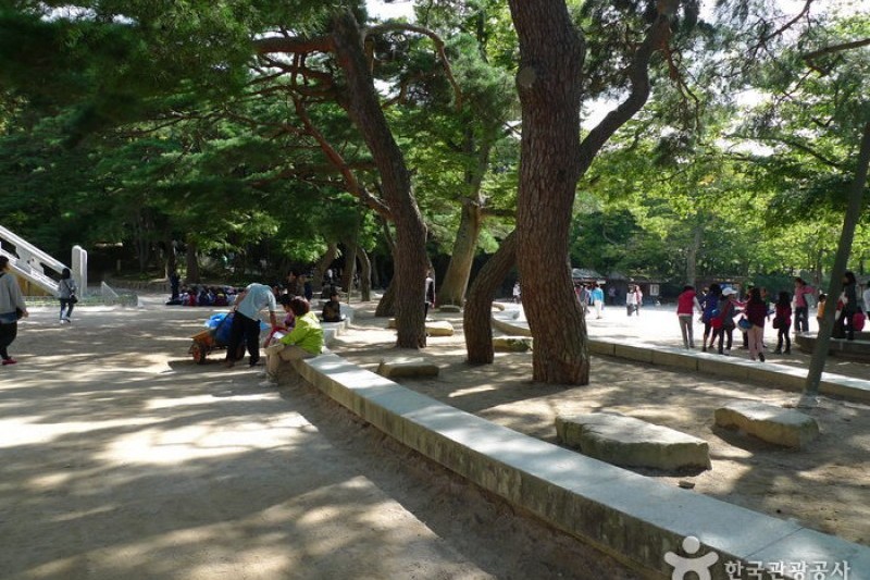 慶州 仏国寺[ユネスコ世界文化遺産] (12/41)