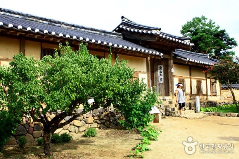 安東河回村［ユネスコ世界文化遺産］ (11/83)