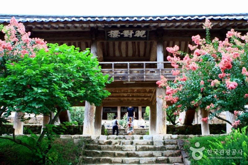 安東河回村［ユネスコ世界文化遺産］ (41/83)