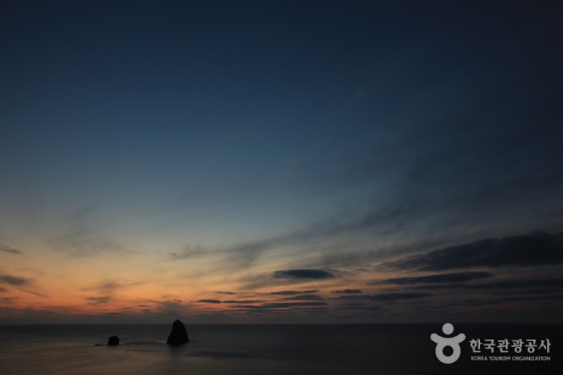 鬱陵島（鬱陵香木 観光モノレール）（울릉도  (6/7)
