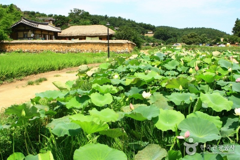 慶州良洞村［ユネスコ世界文化遺産］ (3/45)