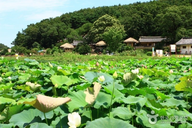 慶州良洞村［ユネスコ世界文化遺産］ (6/45)