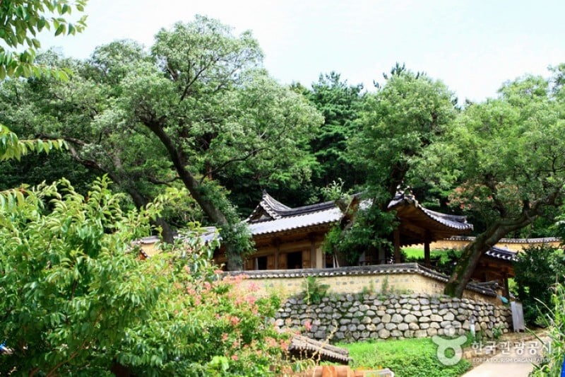 慶州良洞村［ユネスコ世界文化遺産］ (39/45)