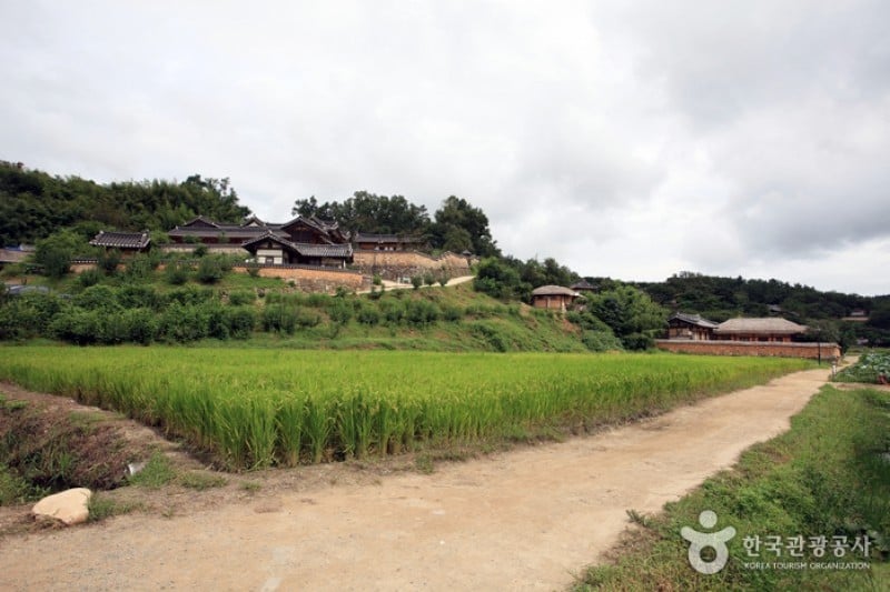 慶州良洞村［ユネスコ世界文化遺産］ (41/45)