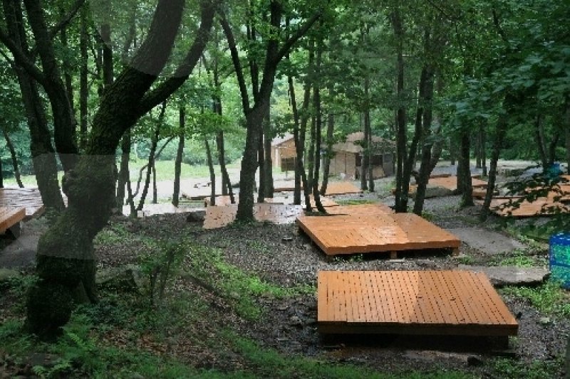 吐含山自然休養林（토함산자연휴양림） (11/11)