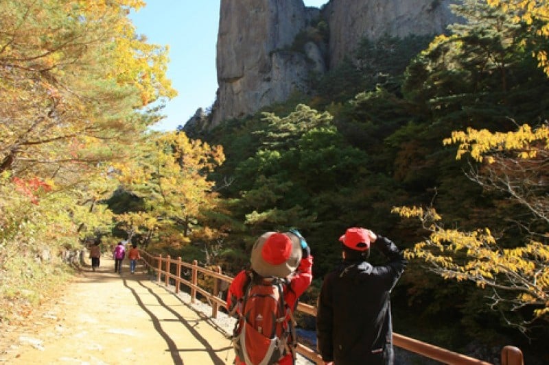 周王山国立公園 (3/37)