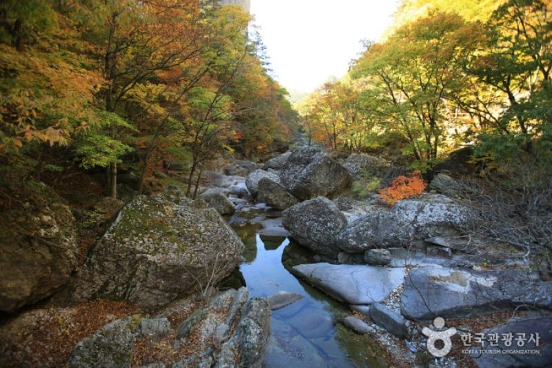 周王山国立公園 (5/37)