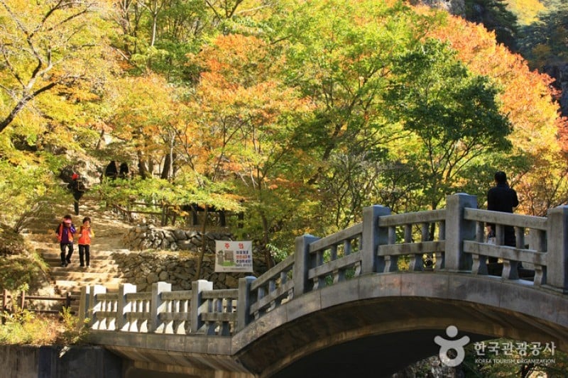 周王山国立公園 (8/37)