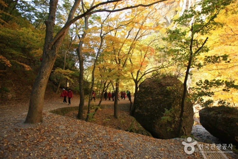 周王山国立公園 (20/37)