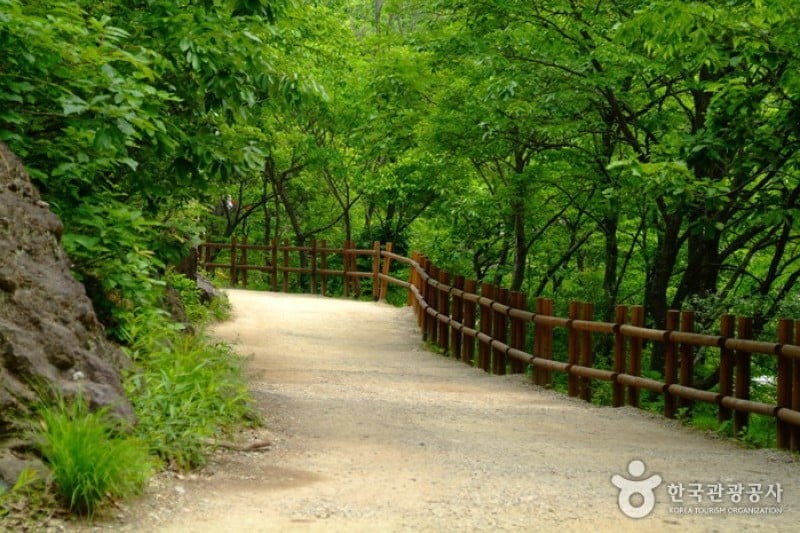 周王山国立公園 (32/37)