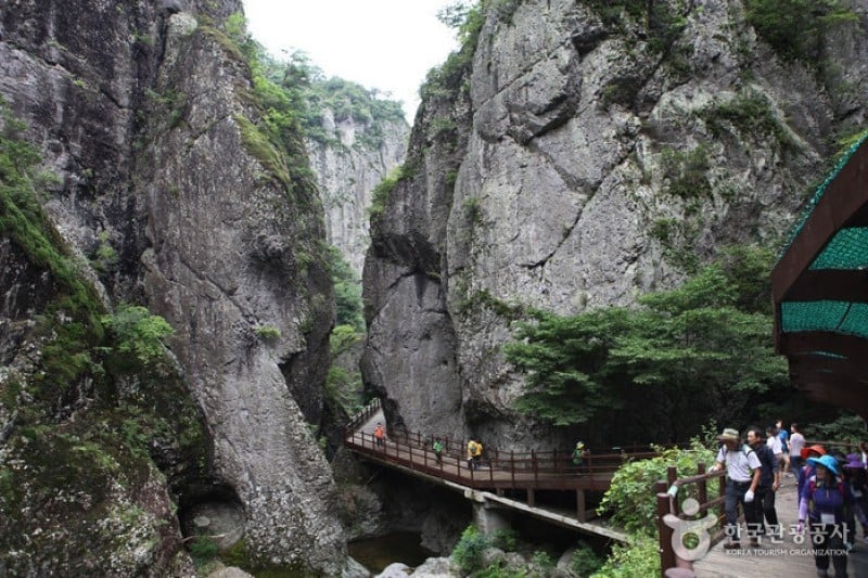 周王山国立公園 (35/37)