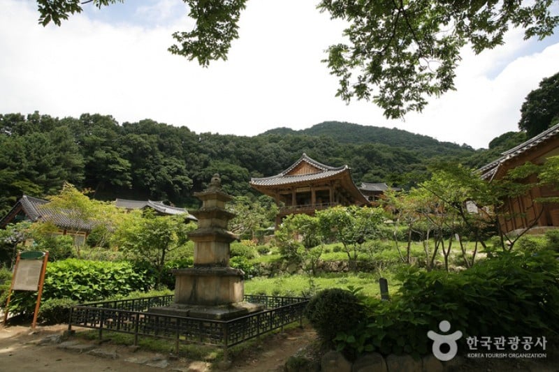浮石寺（華厳宗） (6/19)