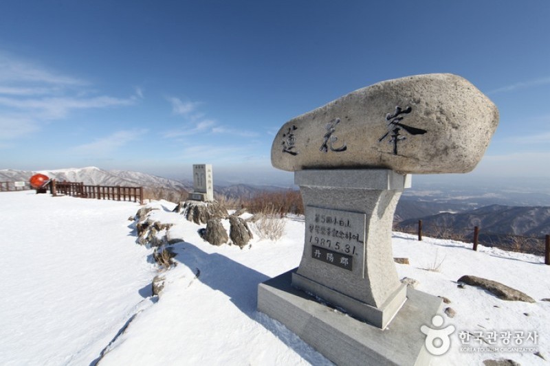小白山国立公園 (3/25)