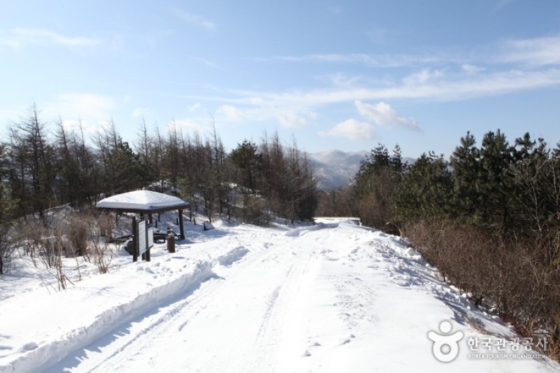 小白山国立公園 (16/25)