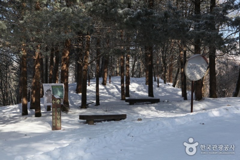 小白山国立公園 (17/25)