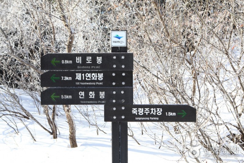 小白山国立公園 (19/25)