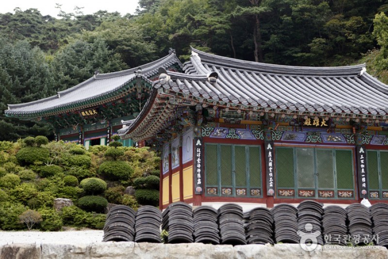 小白山国立公園 (23/25)
