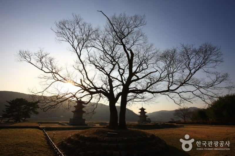 感恩寺址 (24/25)