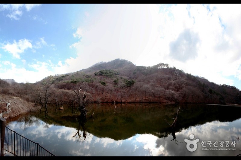 注山池 (1/14)
