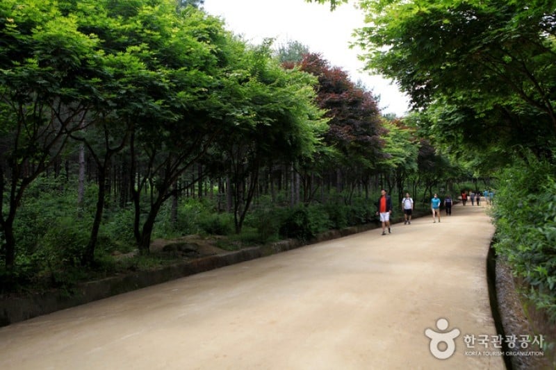 聞慶セジェ道立公園 (13/46)