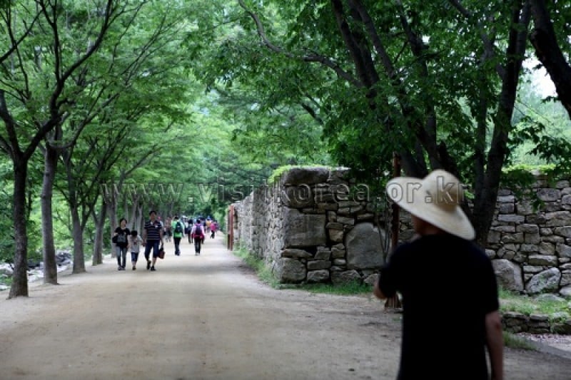 聞慶セジェ道立公園 (14/46)