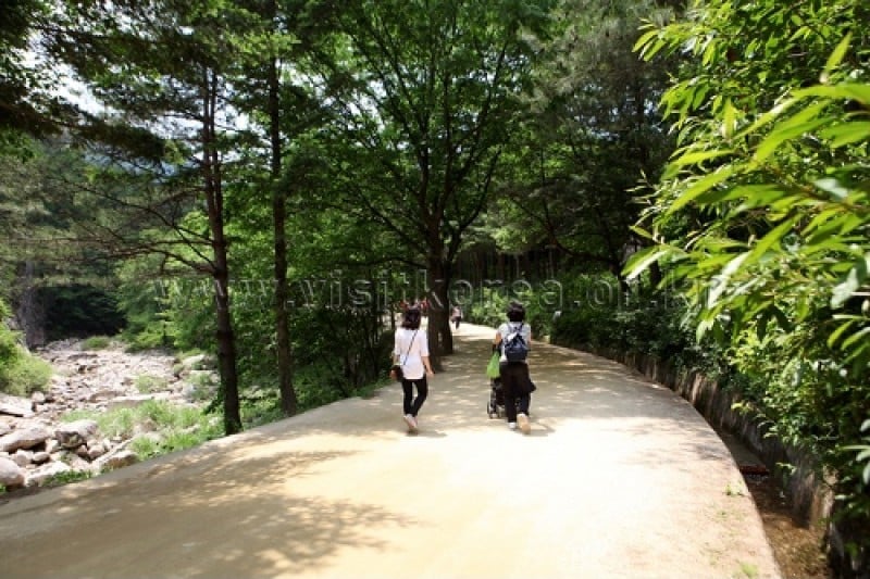 聞慶セジェ道立公園 (15/46)