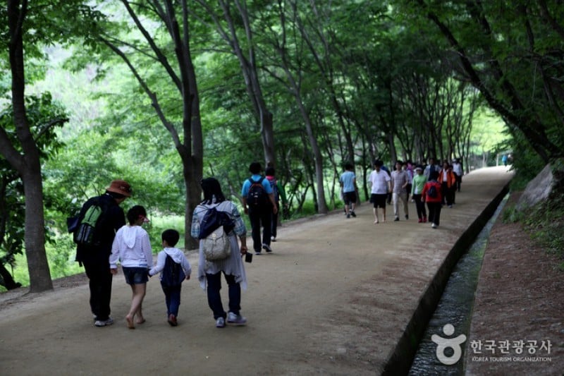 聞慶セジェ道立公園 (18/46)