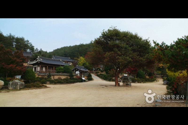 安東君子マウル (6/11)