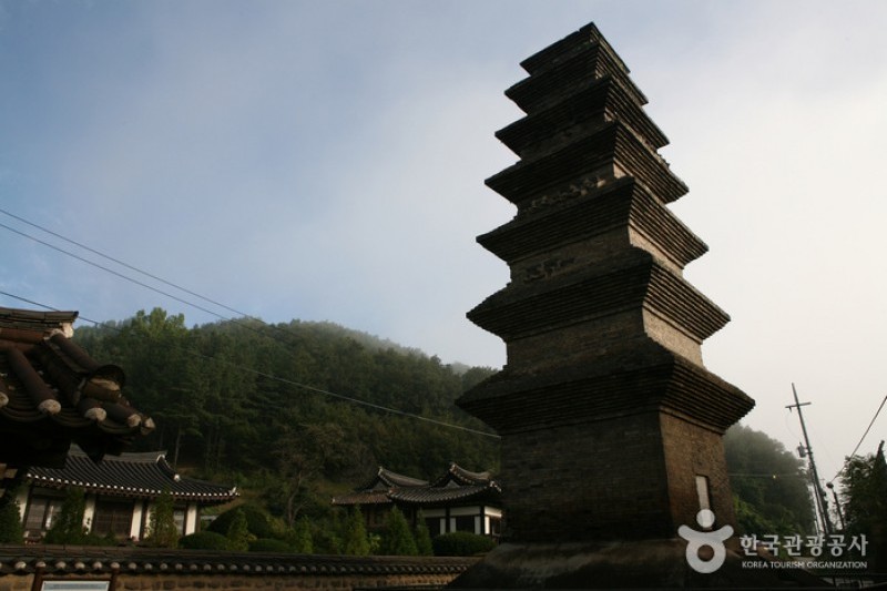 新世洞七層塼塔 (9/13)