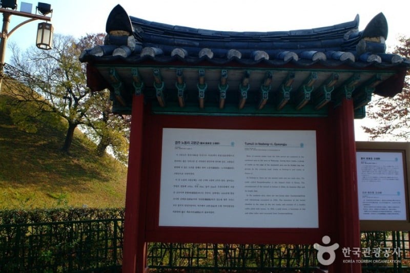 金冠塚 (4/4)