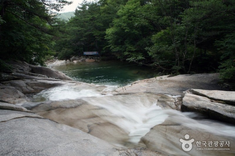大耶山龍墜渓谷 (5/9)