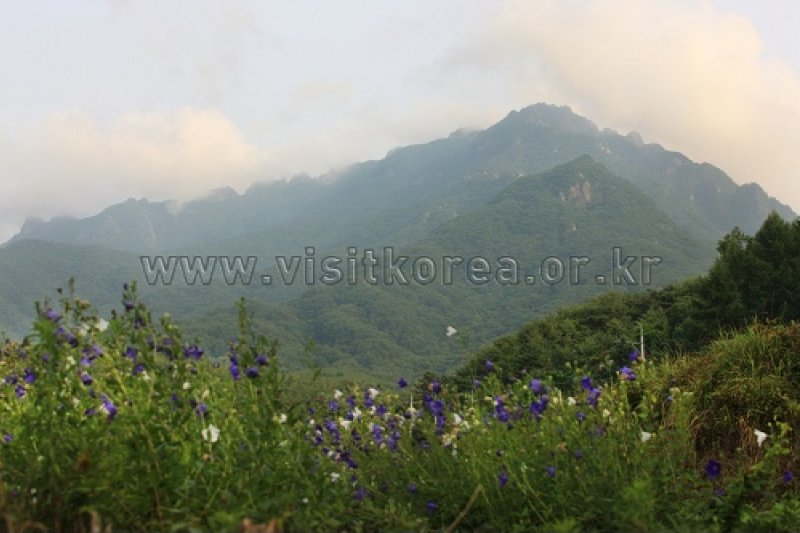 伽倻山国立公園（白雲洞地区）（가야산국립공원 (1/12)