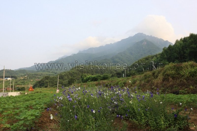 伽倻山国立公園（白雲洞地区）（가야산국립공원 (2/12)