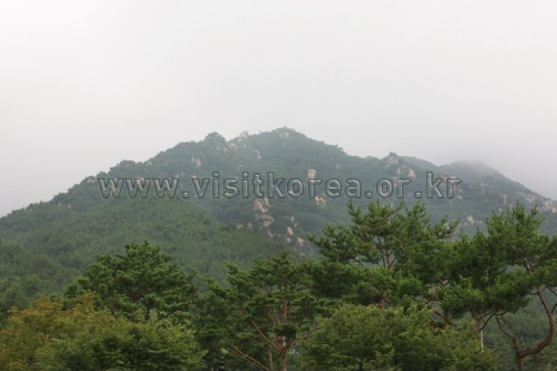 伽倻山国立公園（白雲洞地区）（가야산국립공원 (11/12)