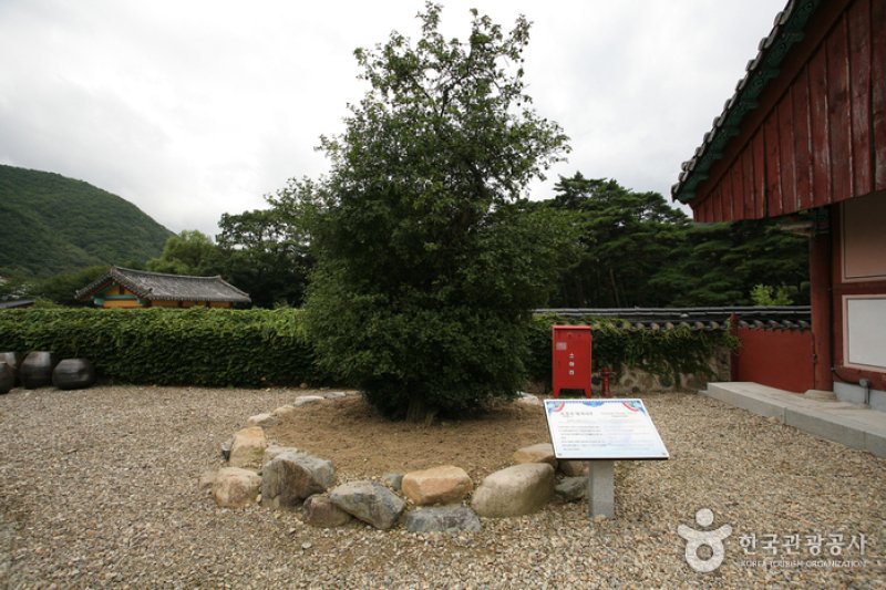 宝鏡寺（보경사） (2/5)
