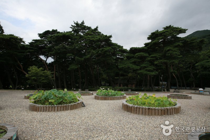 宝鏡寺（보경사） (3/5)