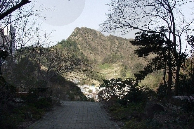 道洞薬水 (2/6)