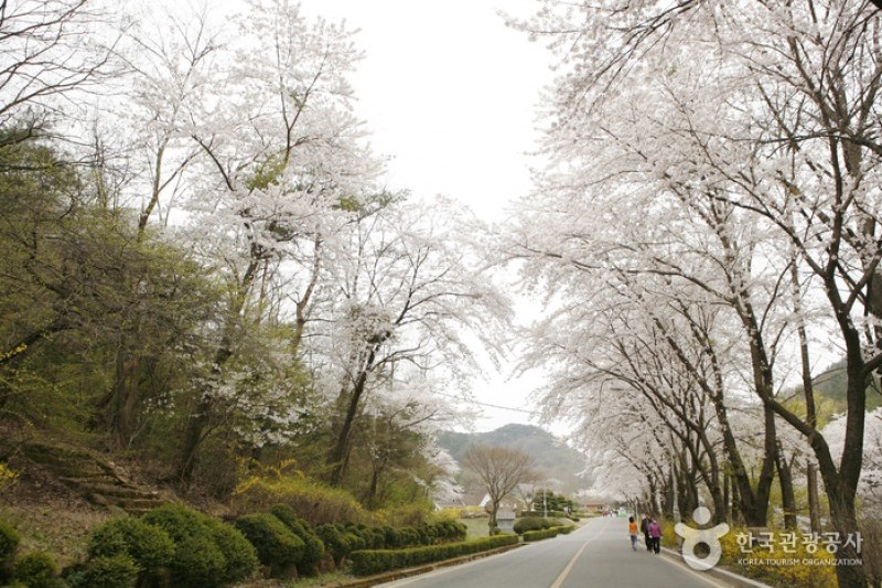 金烏山道立公園 (1/12)