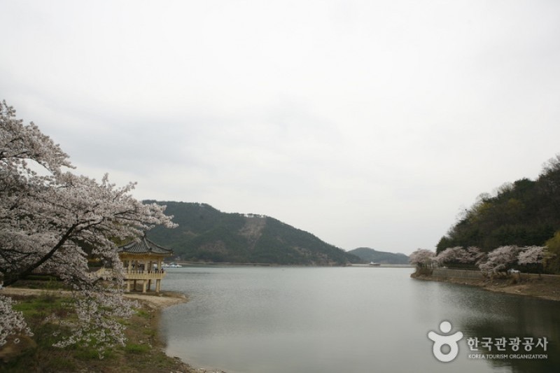 金烏山道立公園 (11/12)