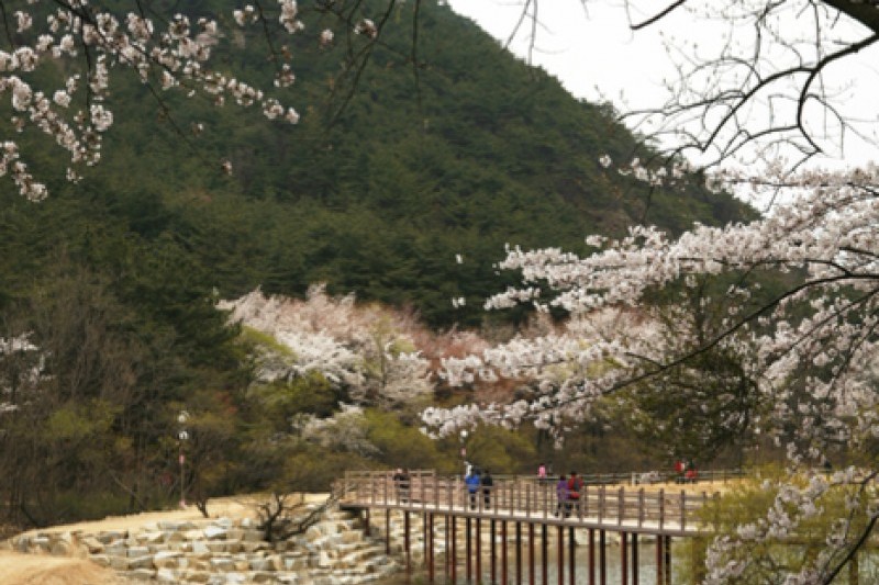 金烏山道立公園 (12/12)