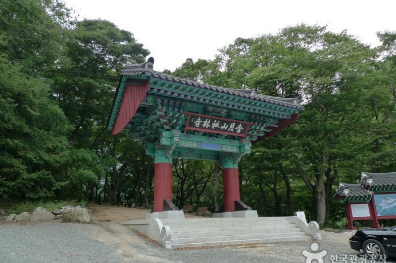 祗林寺 (1/31)