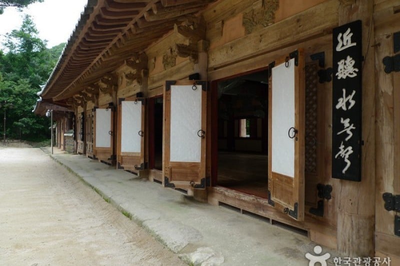 祗林寺 (8/31)