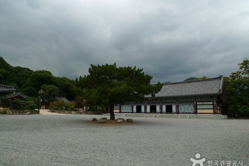 祗林寺 (13/31)
