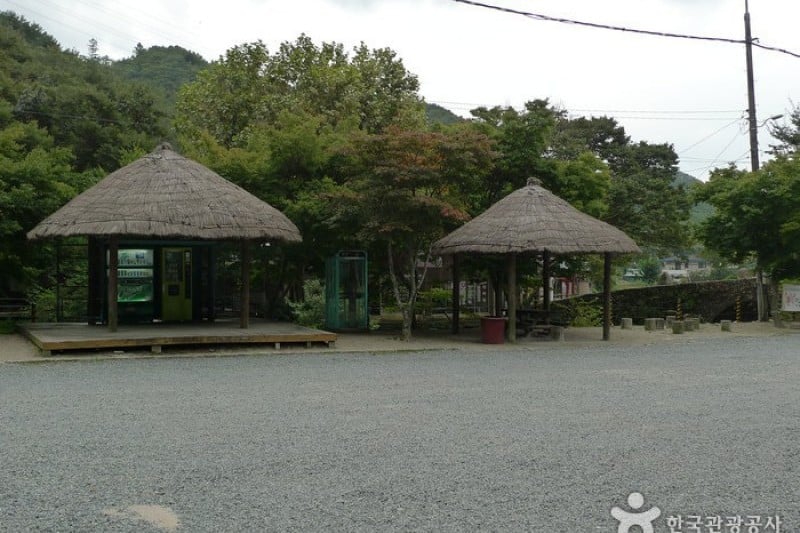 祗林寺 (19/31)