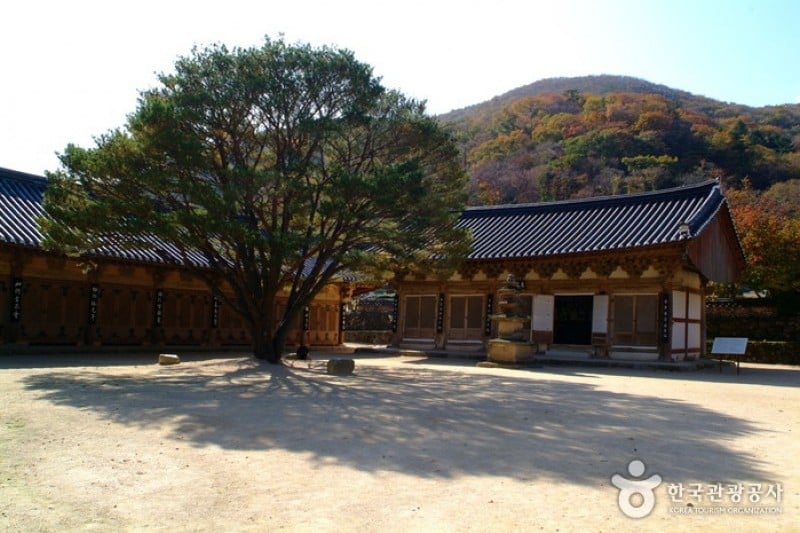 祗林寺 (24/31)
