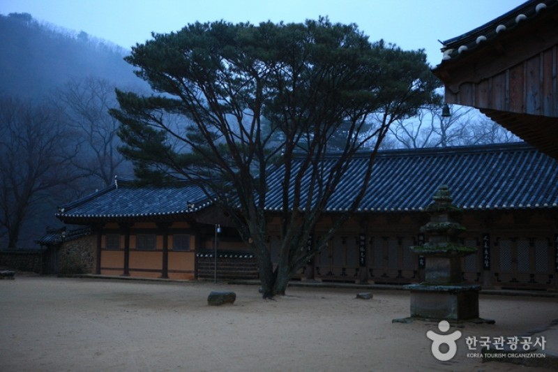 祗林寺 (29/31)