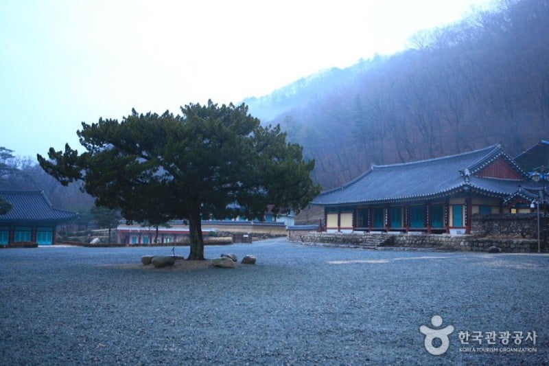 祗林寺 (30/31)