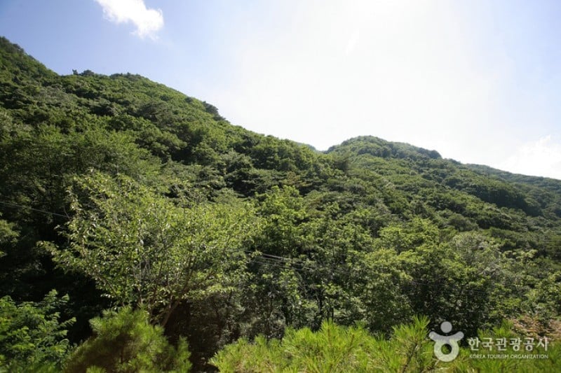 清凉山道立公園 (4/23)